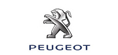 Peugeot 標(biāo)致頂膠